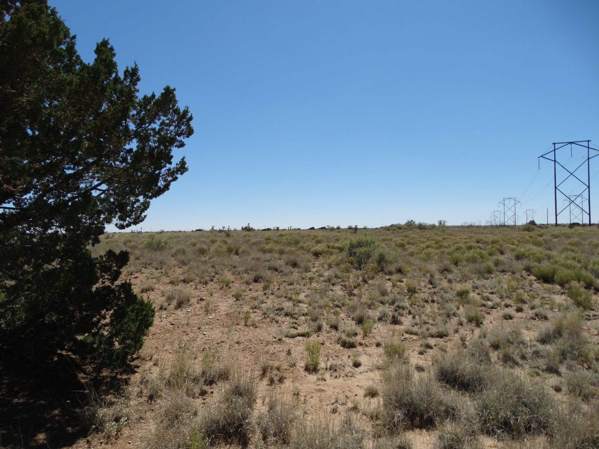 New Mexico Land for Sale Undeveloped Property Rio Rancho Estates