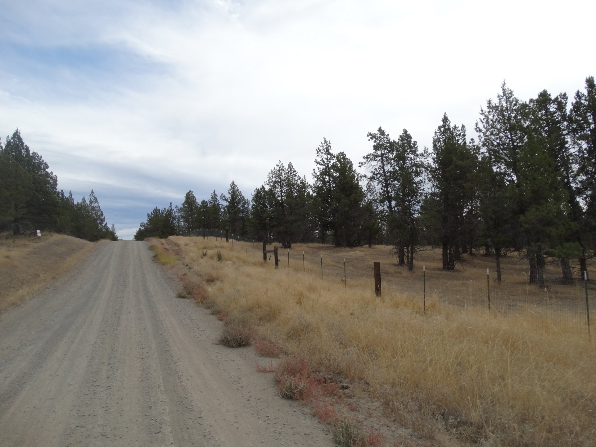 Rural Land for Sale Undeveloped Property Modoc Recreational Estates