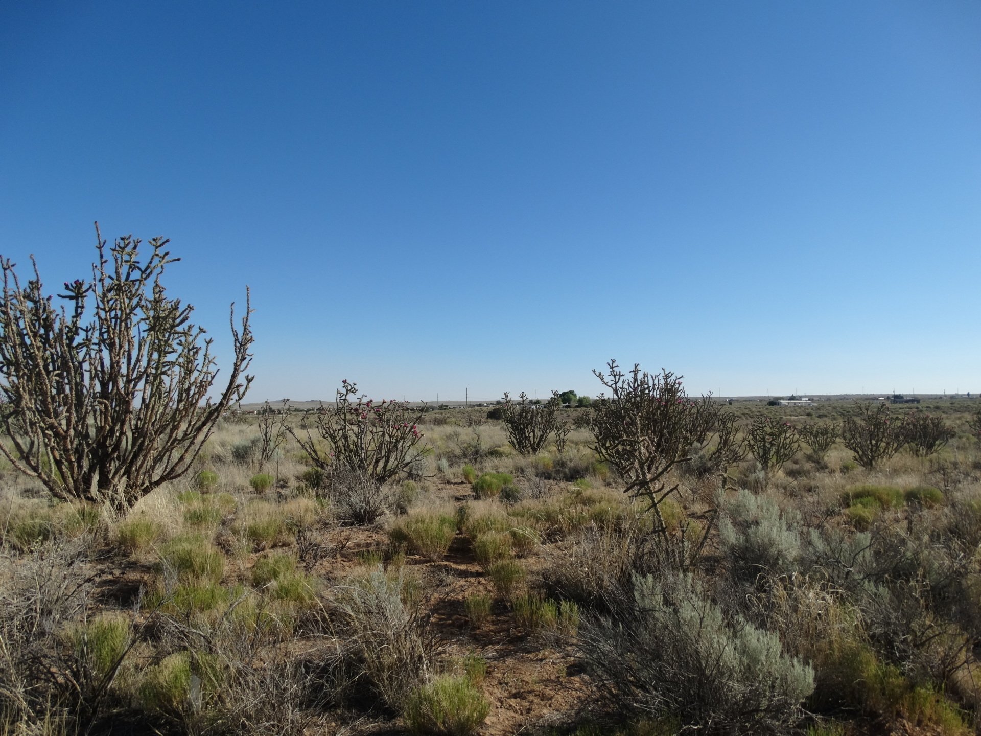 New Mexico Land for Sale Undeveloped Property Rio Rancho Estates