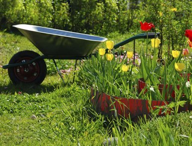 Garden care in Liverpool