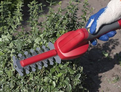 Hedge trimmers in Liverpool