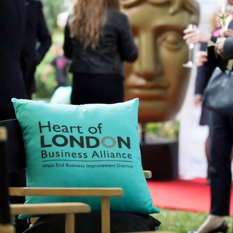 Personalised cushions beautifully branded Autumn Down