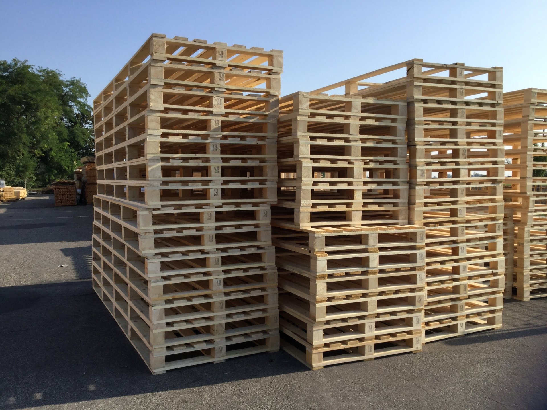 Bancali di legno e pallets Forlì