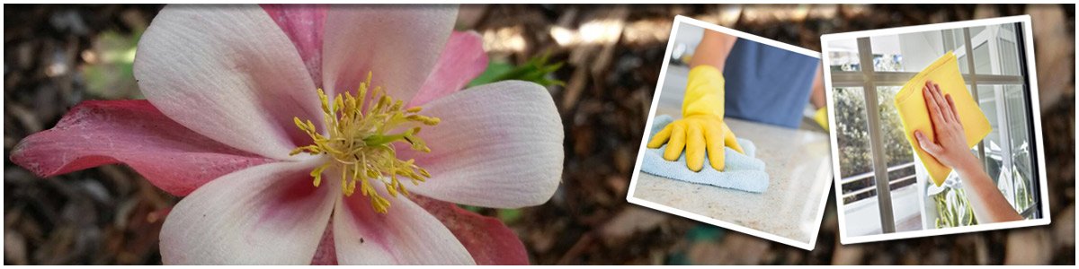 Lou Lou's Squecky Clean Cleaning Services Lou Lou's Squecky Clean Cleaning Services