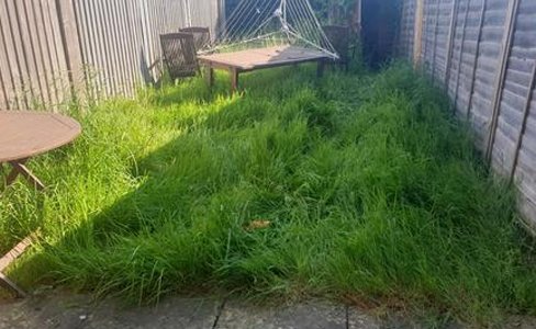 Garden services by Turf's Up Surrey