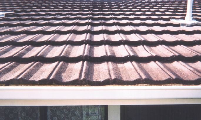 Softwash Roof Cleaning