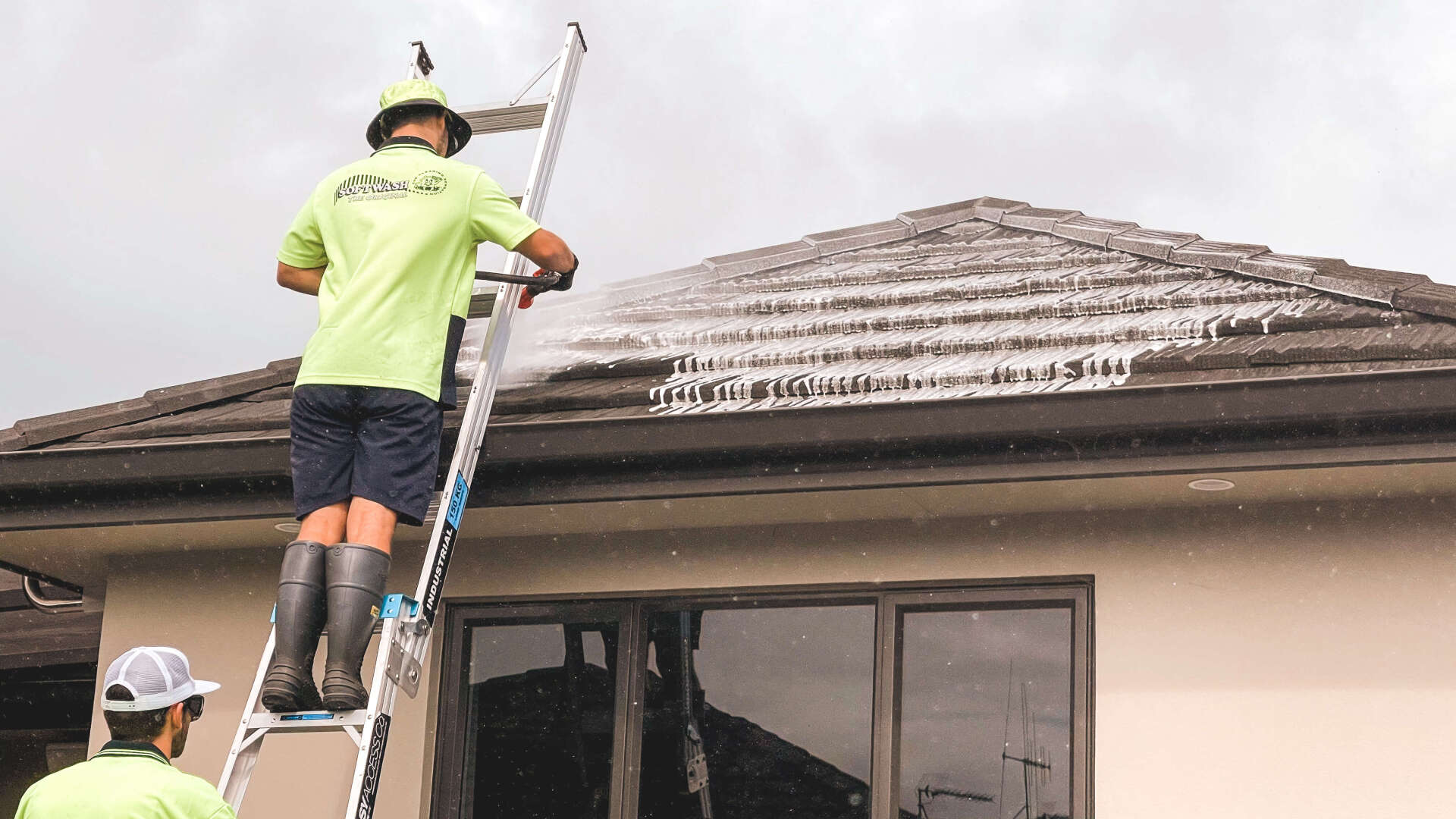 Softwash Auckland House Washing Auckland Free Quotes