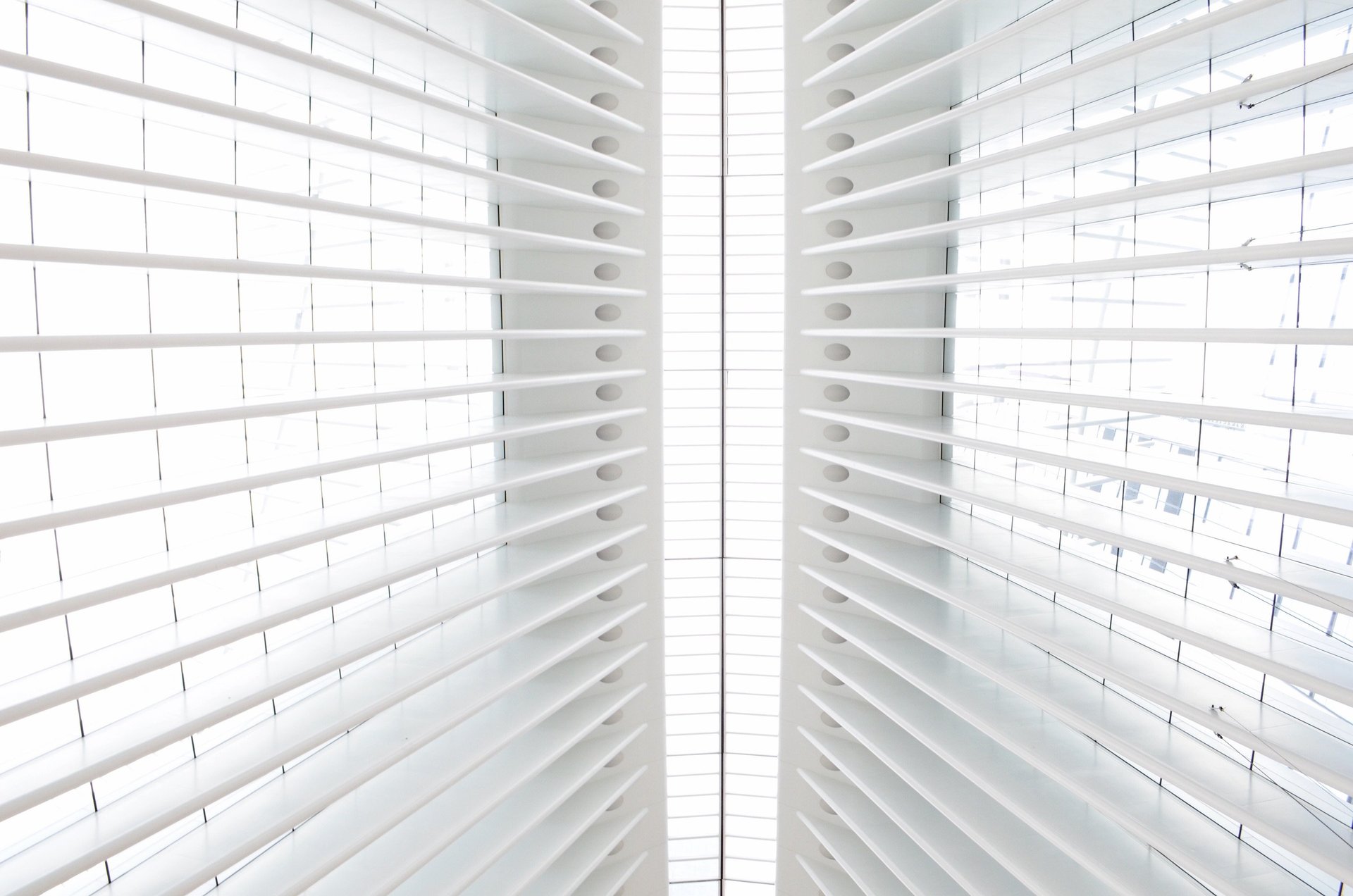 Custom Window Blinds, Shades, & Shutters The Blind Man