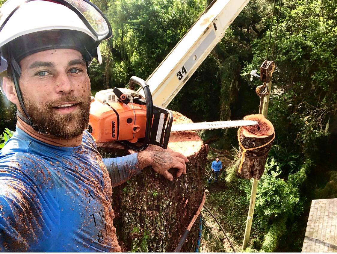 About A Baker�s Tree Service Tampa, FL A Baker�s Tree About A Baker�s Tree Service Tampa, FL A Baker�s Tree