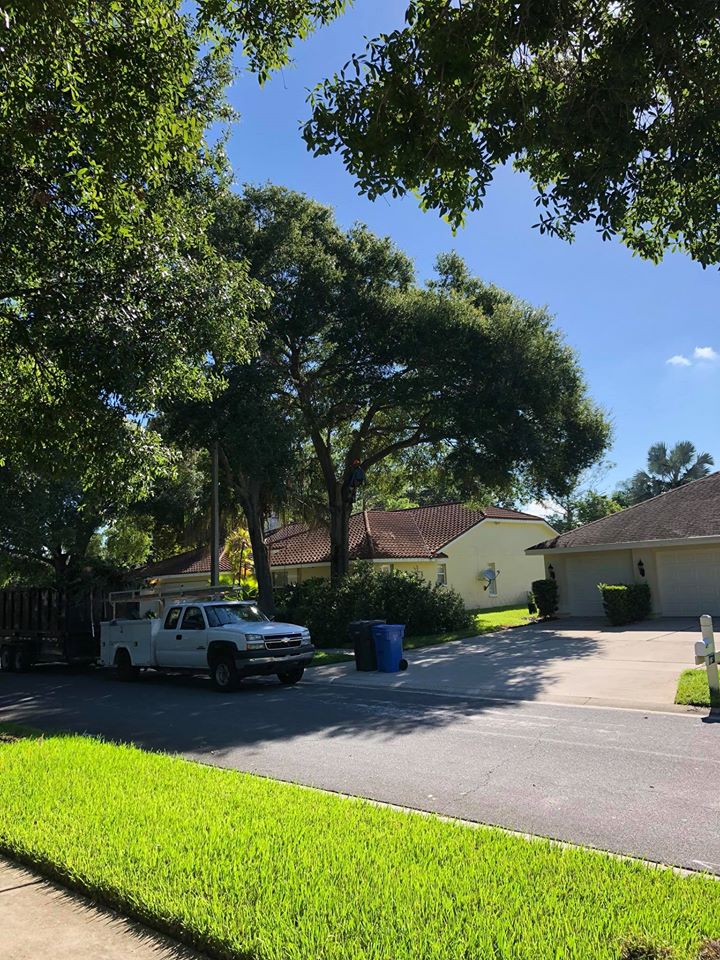 About A Baker's Tree Service Tampa, FL A Baker's Tree Service