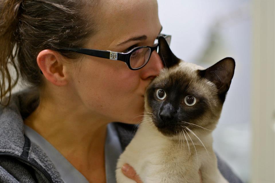 Pet Photo Gallery Mebane, NC Mebane Pet Clinic