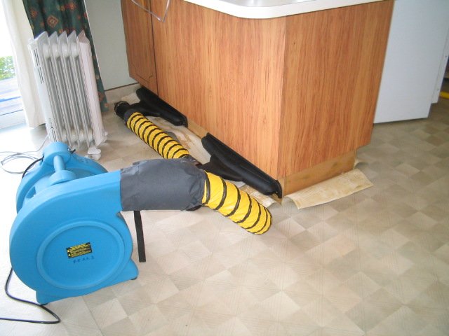 Professional removing the stains on the carpet