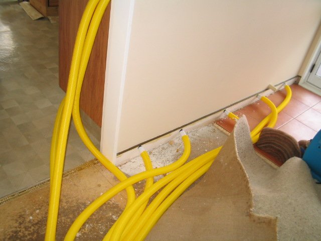 Cleaning of the stains from the carpet