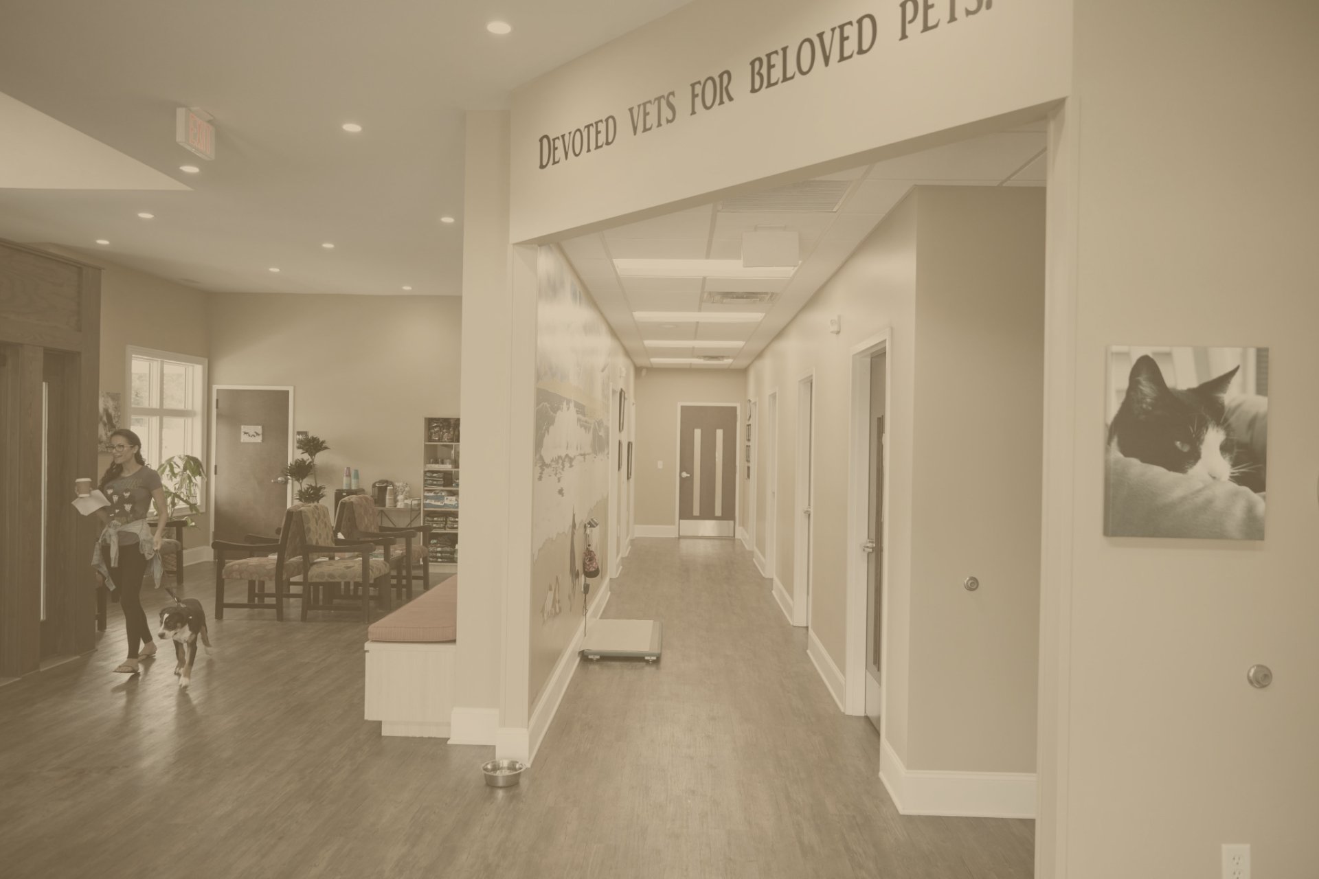 Paws & Claws Animal Hospital Veterinary Clinic Wilmington, NC Pet