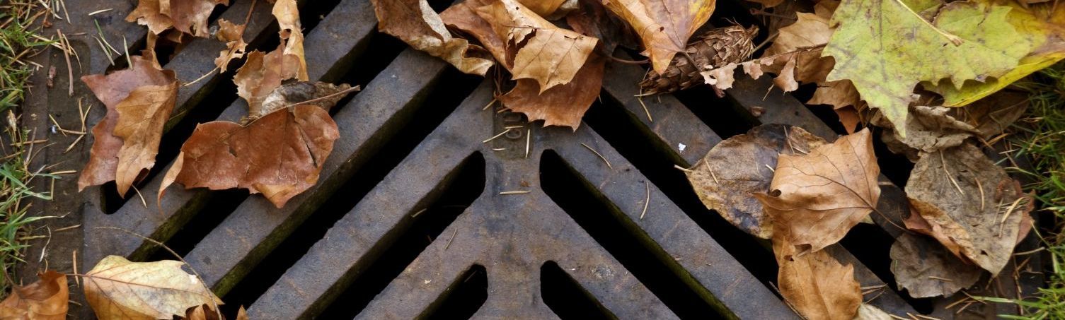 A drain grill that needs sewer cleaning services in Christchurch 