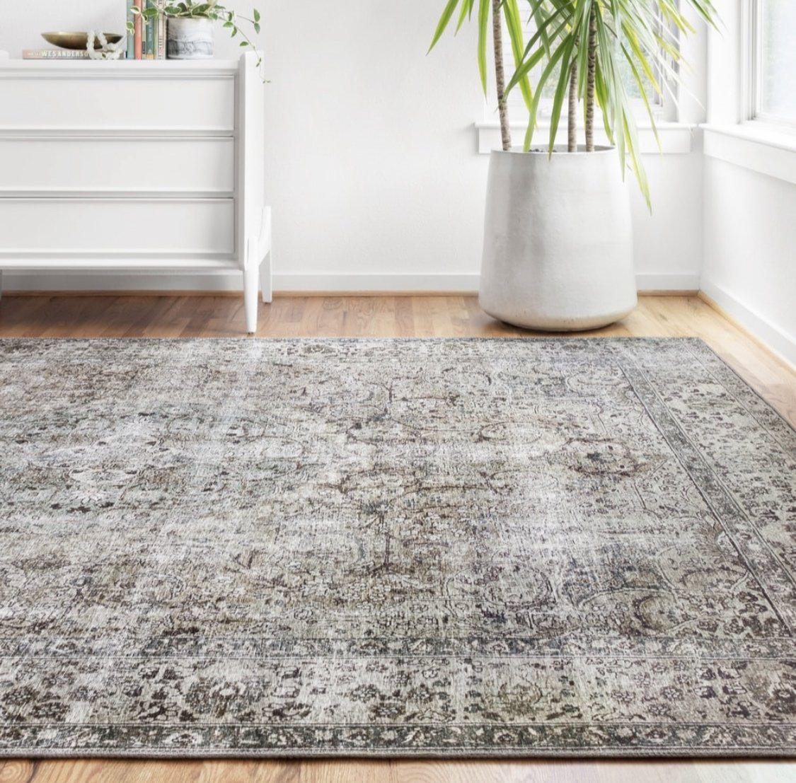 Overstock Sale Rug Roundup