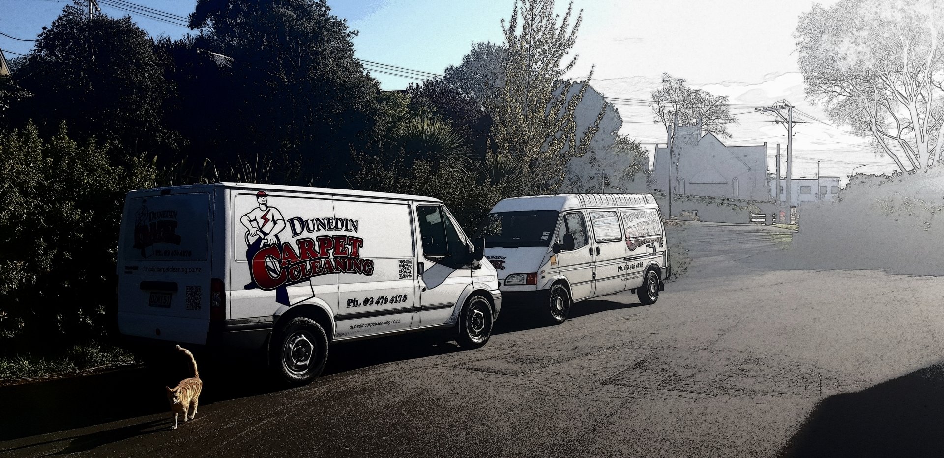 Dunedin Carpet Cleaning Carpet Cleaning Dunedin, NZ