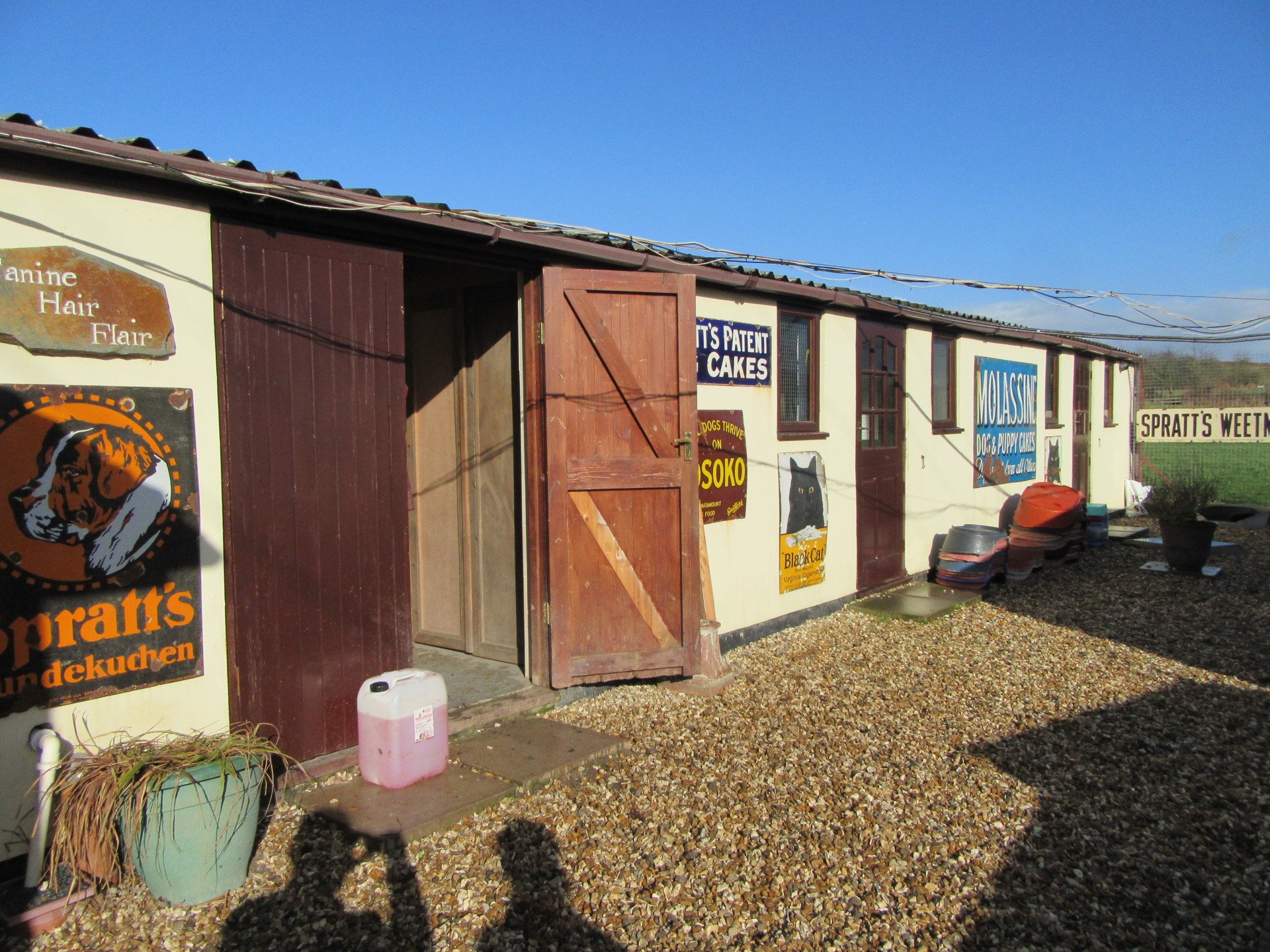 Cottage Kennels and Cattery Gallery Photo's of our facilities