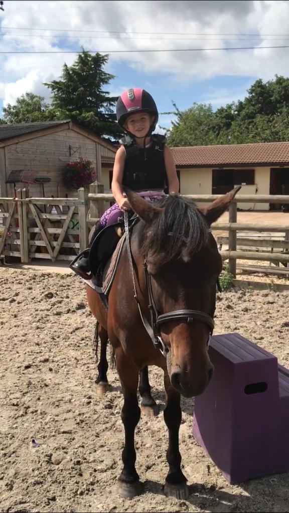 Horse Riding Lessons Stables Bristol