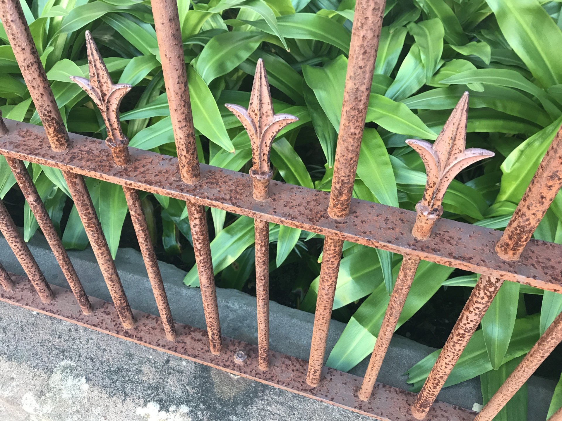 How To Bring Rusty Metal Fences Back To Life?