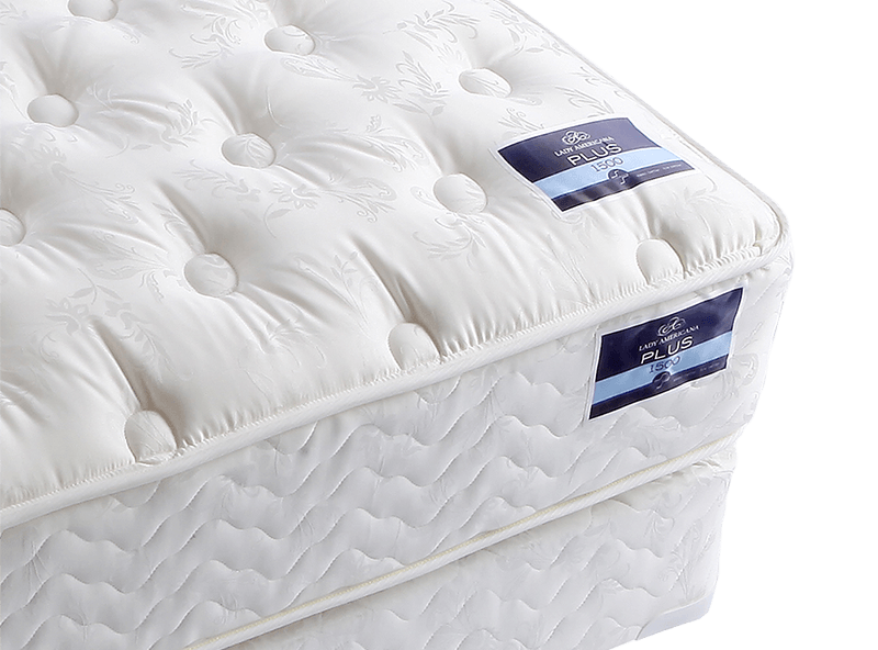 Hospitality Lady Americana