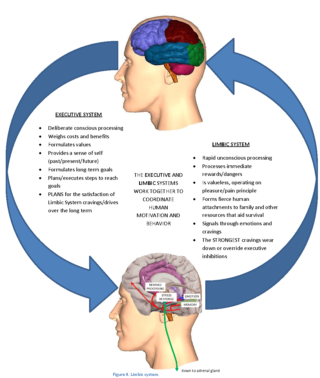 The Neuroscience of addiction