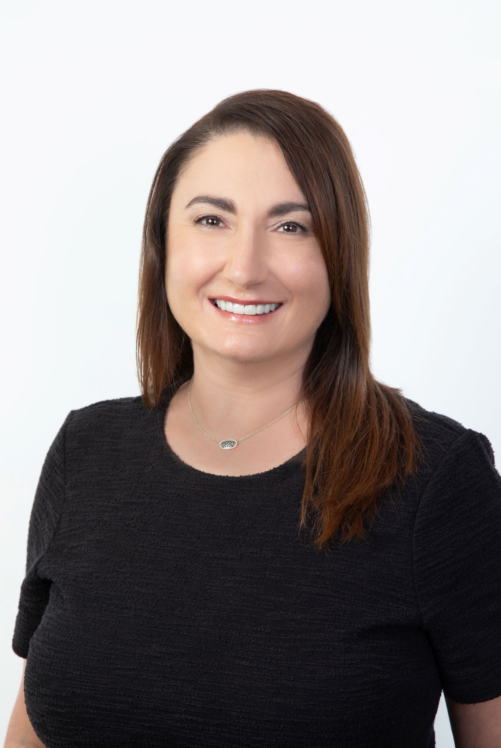 Cynthia Albin Featured Speaker at a Continuing Legal Education Seminar