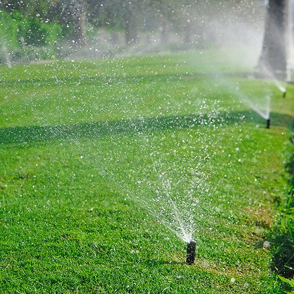 Sprinkler Repairs Tampa, FL Chase’s Lawn Service