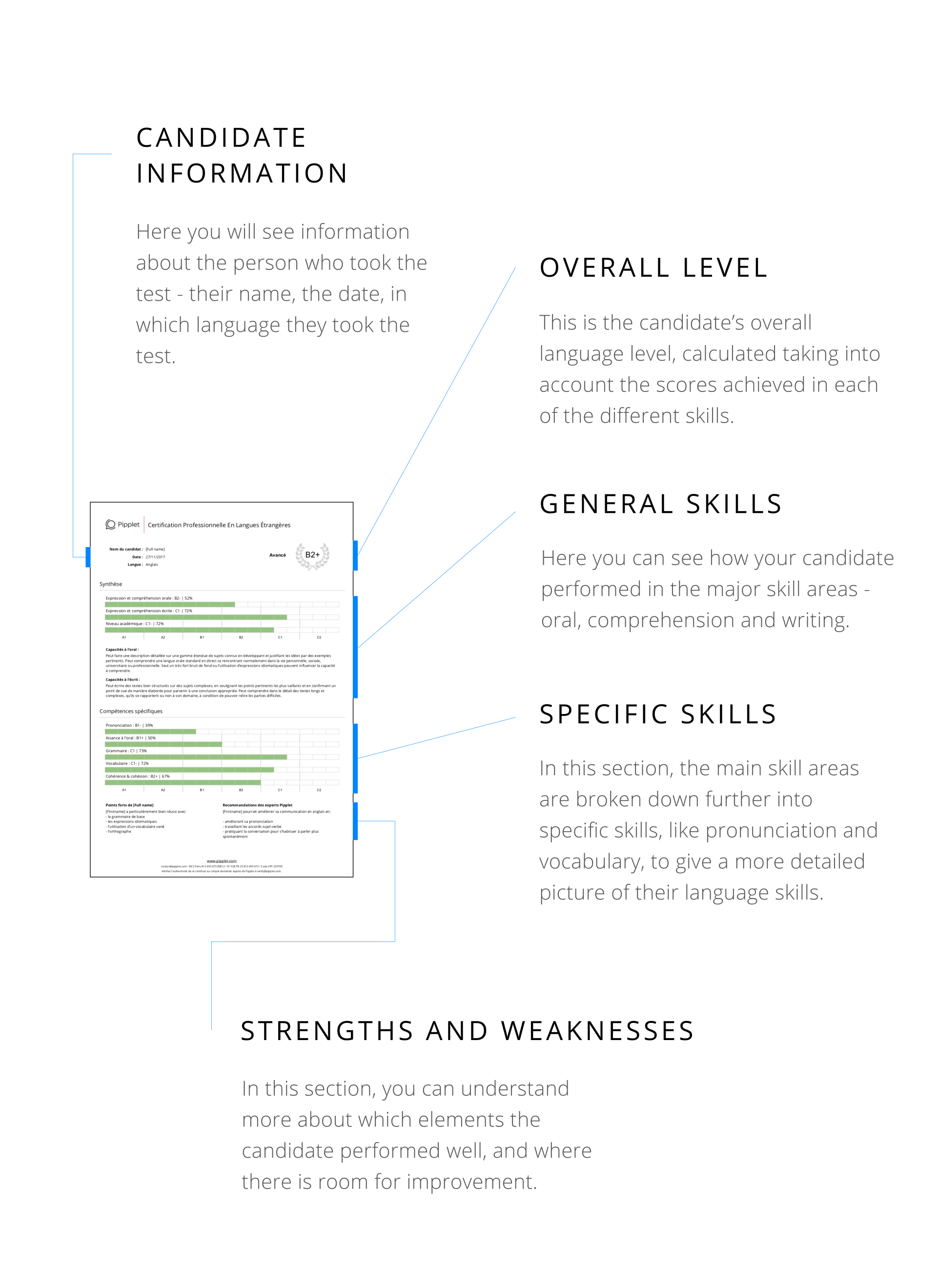 Discover the Pipplet language proficiency result in detail