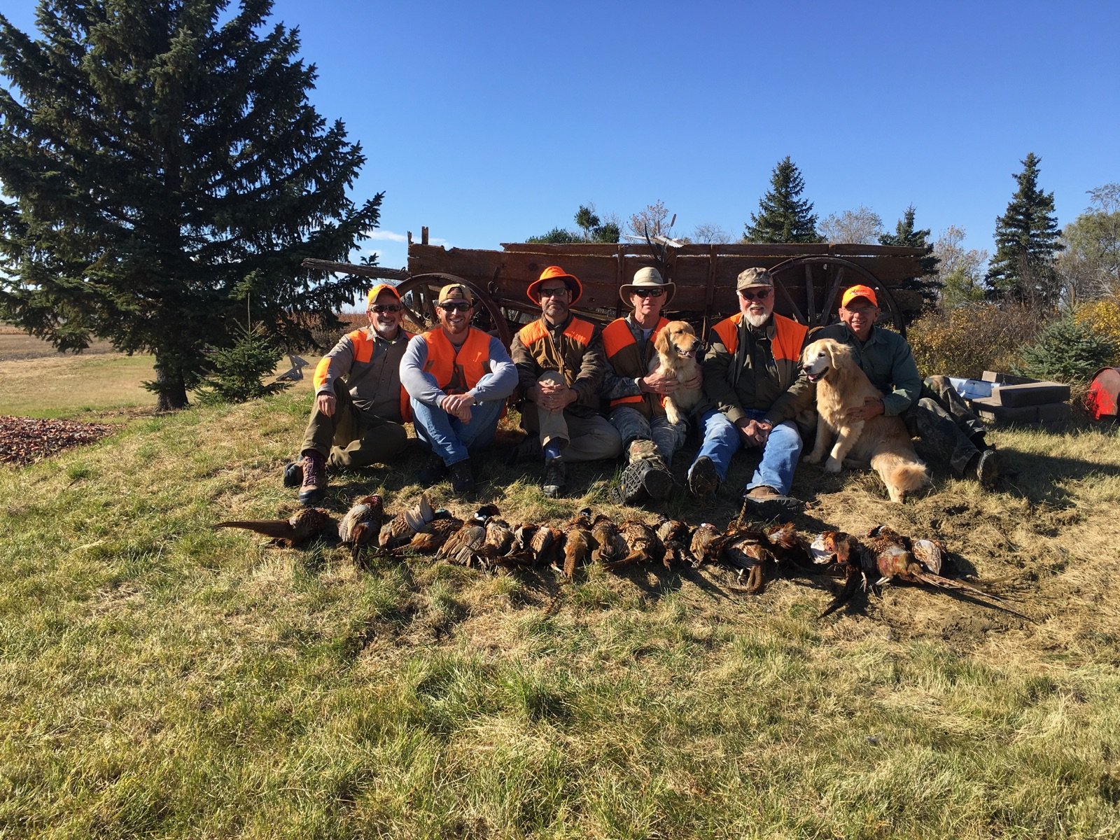 North Dakota Pheasant Hunting ND Pheasant Hunts