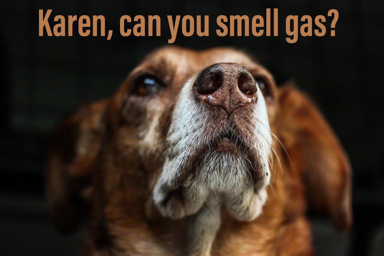 Can you smell gas...?