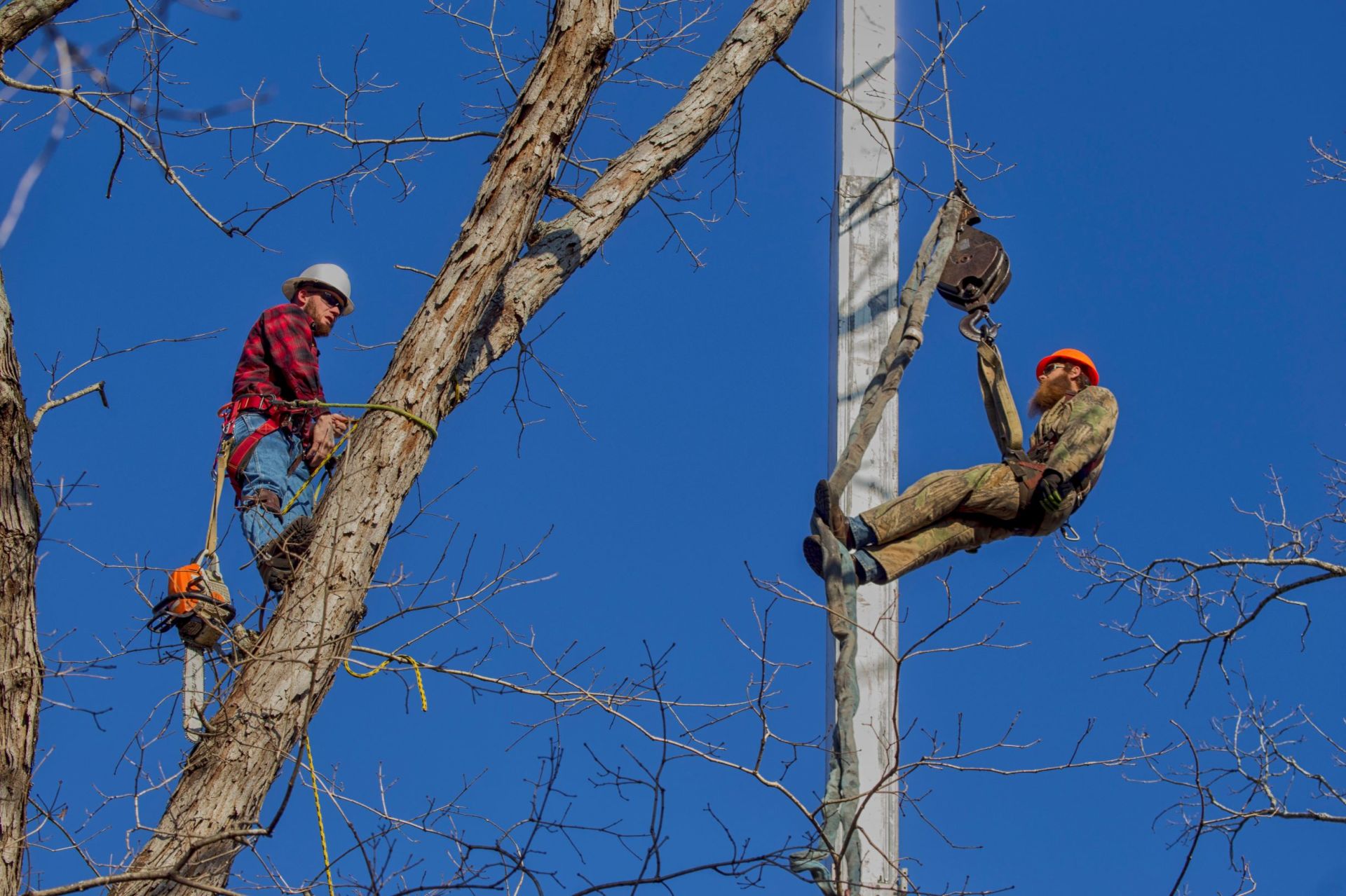 Tree Service in Chattanooga, Tennessee Lumberjacks Tree Service