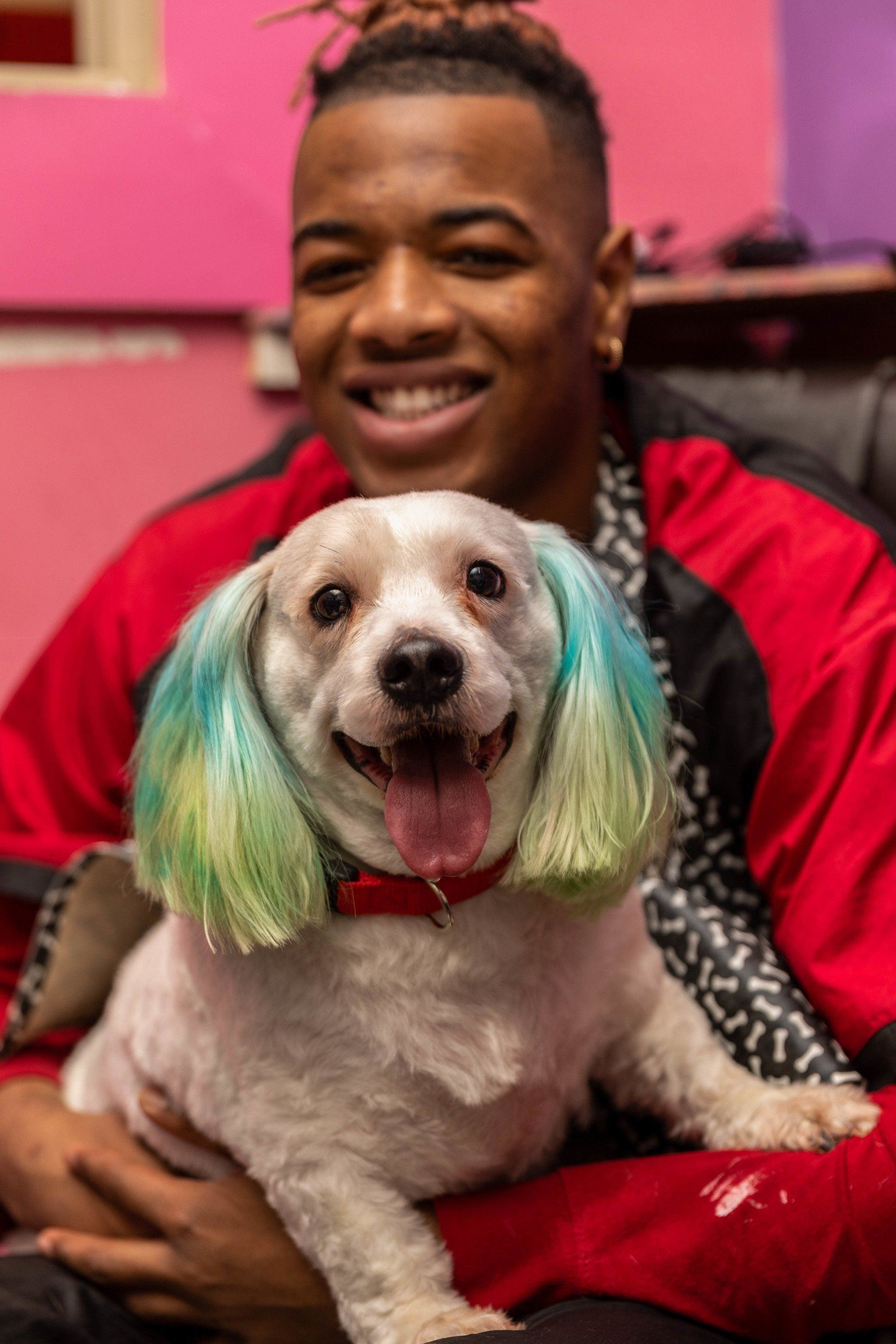 Diva Dogs Pet Grooming