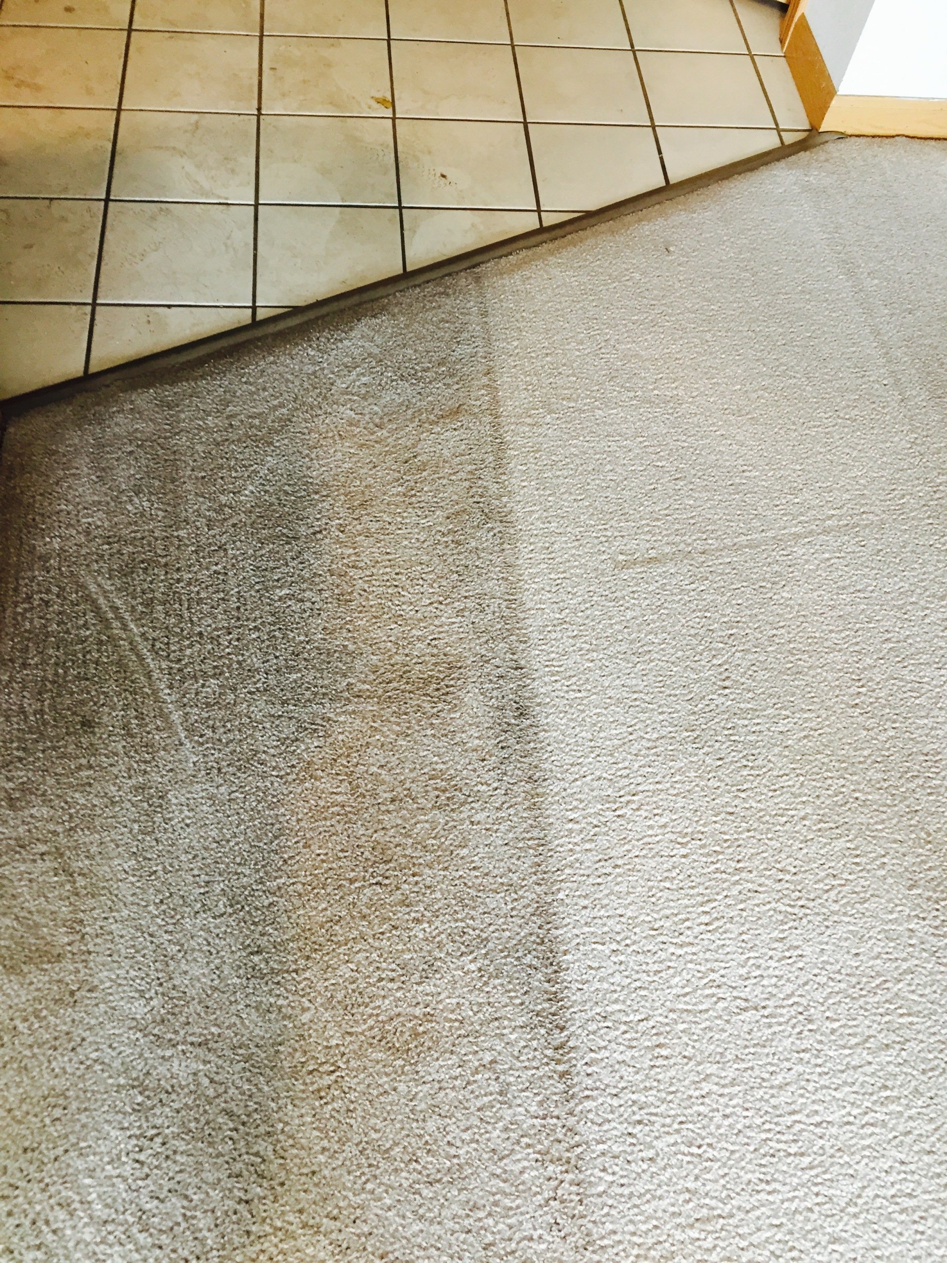 Upholstery Cleaning Jamestown Valley , North Dakota K & S Carpet