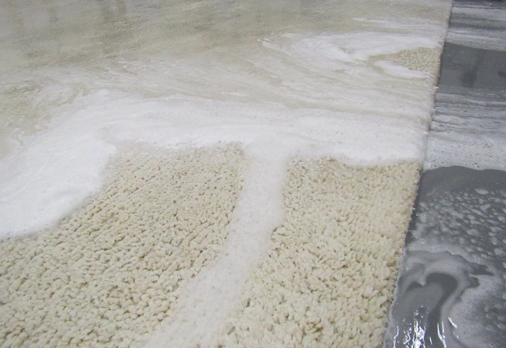 Oriental, Area and Persian Rug Cleaning Minneapolis, MN