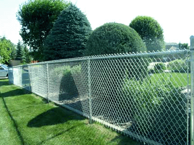 Chain Link Fence with Trimmed Trees — Ste. K Santee, CA — Sam's Fencing Inc.