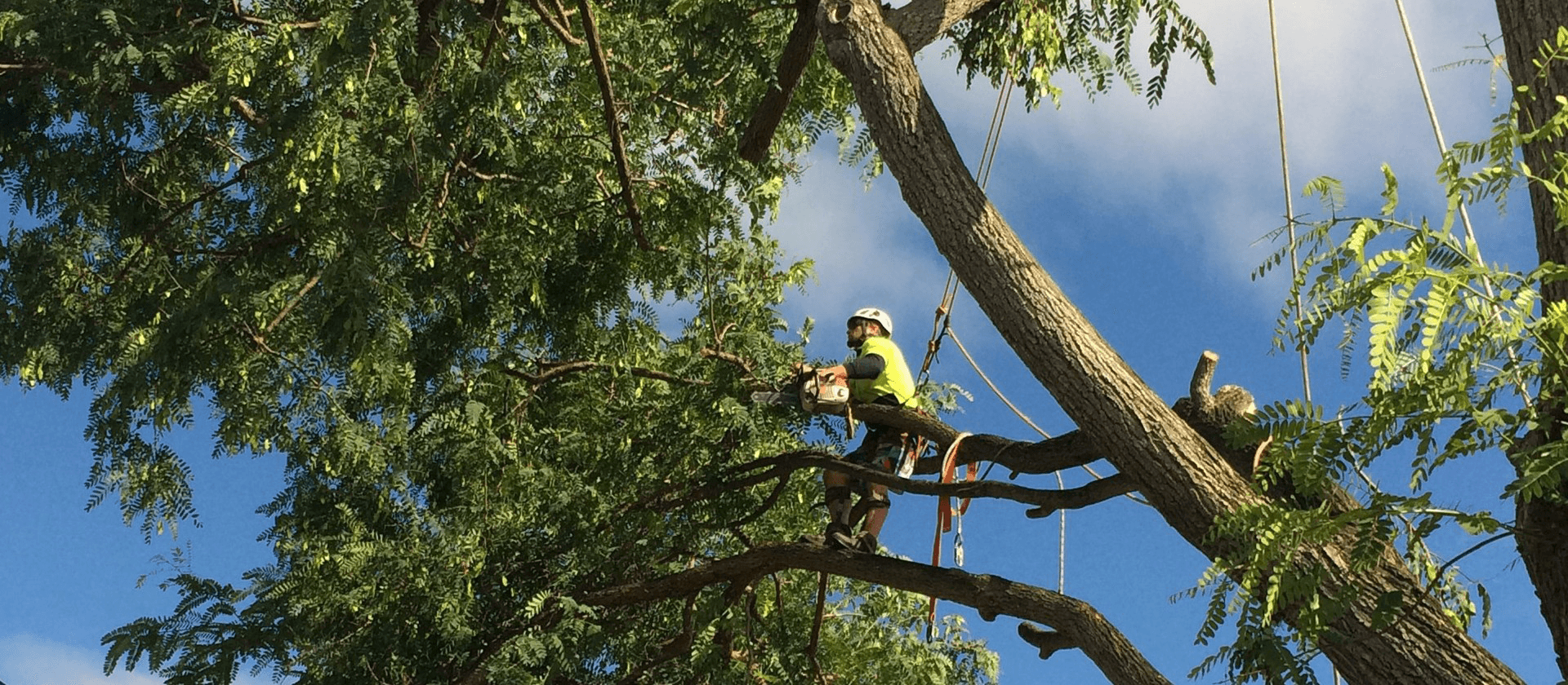 Man holding his chainsaw because his doing tree removal services in Gold Coast