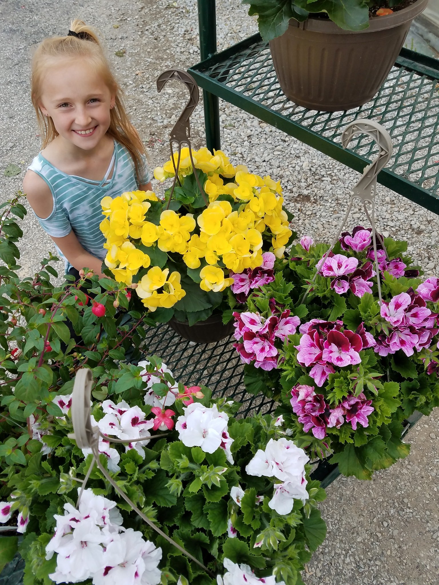Nursery Snow's Landscape & Nursery Evansville & Newburgh, IN