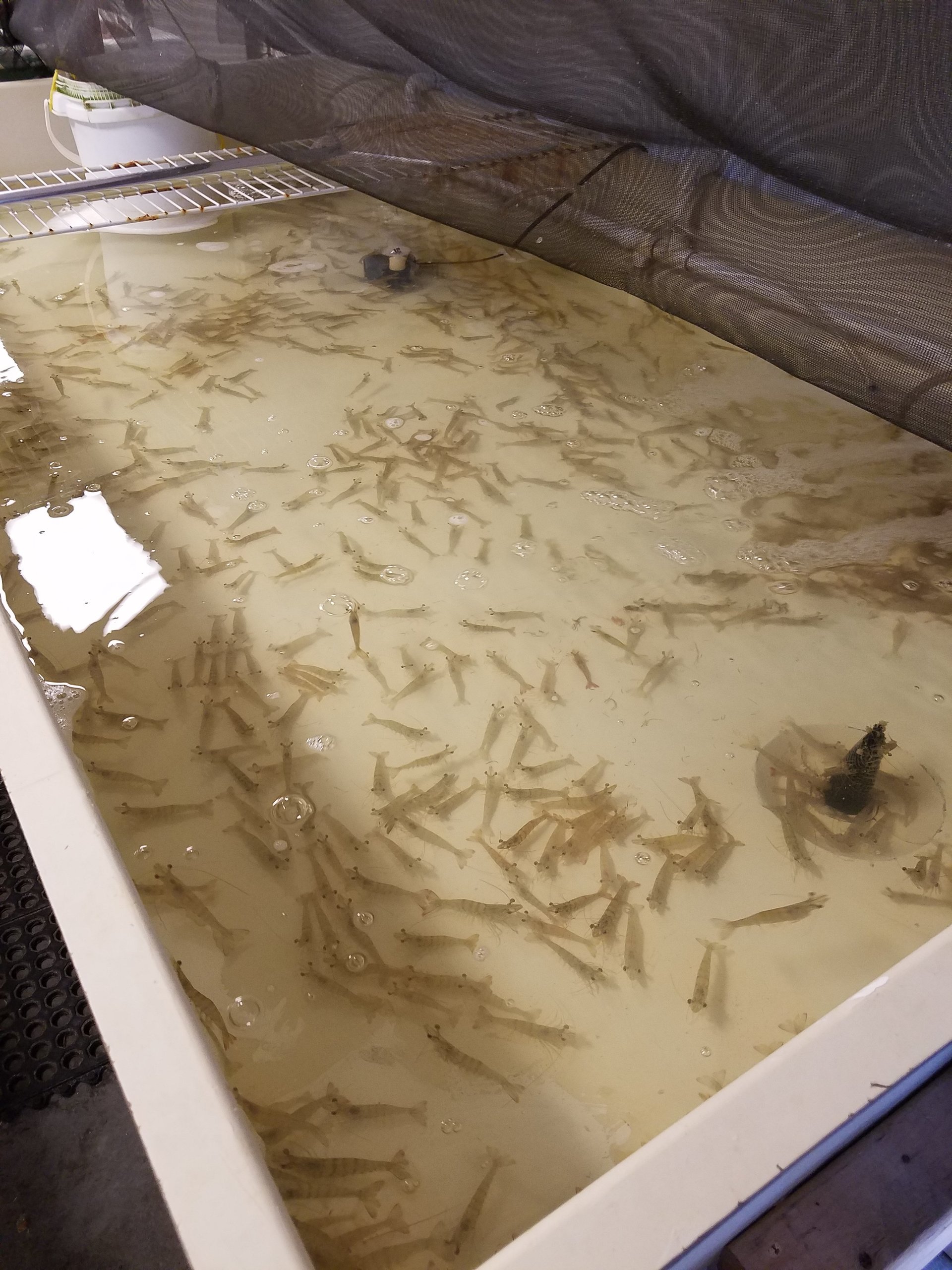 Fishing Tackle Sebastian, FL Bait Shop Vero Beach, FL & Palm Bay, FL