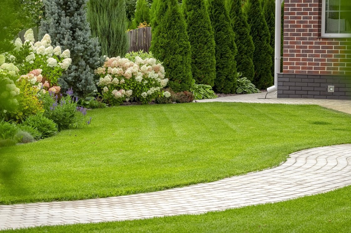 5 Top Lawn Grass Types for Your Alabama Home