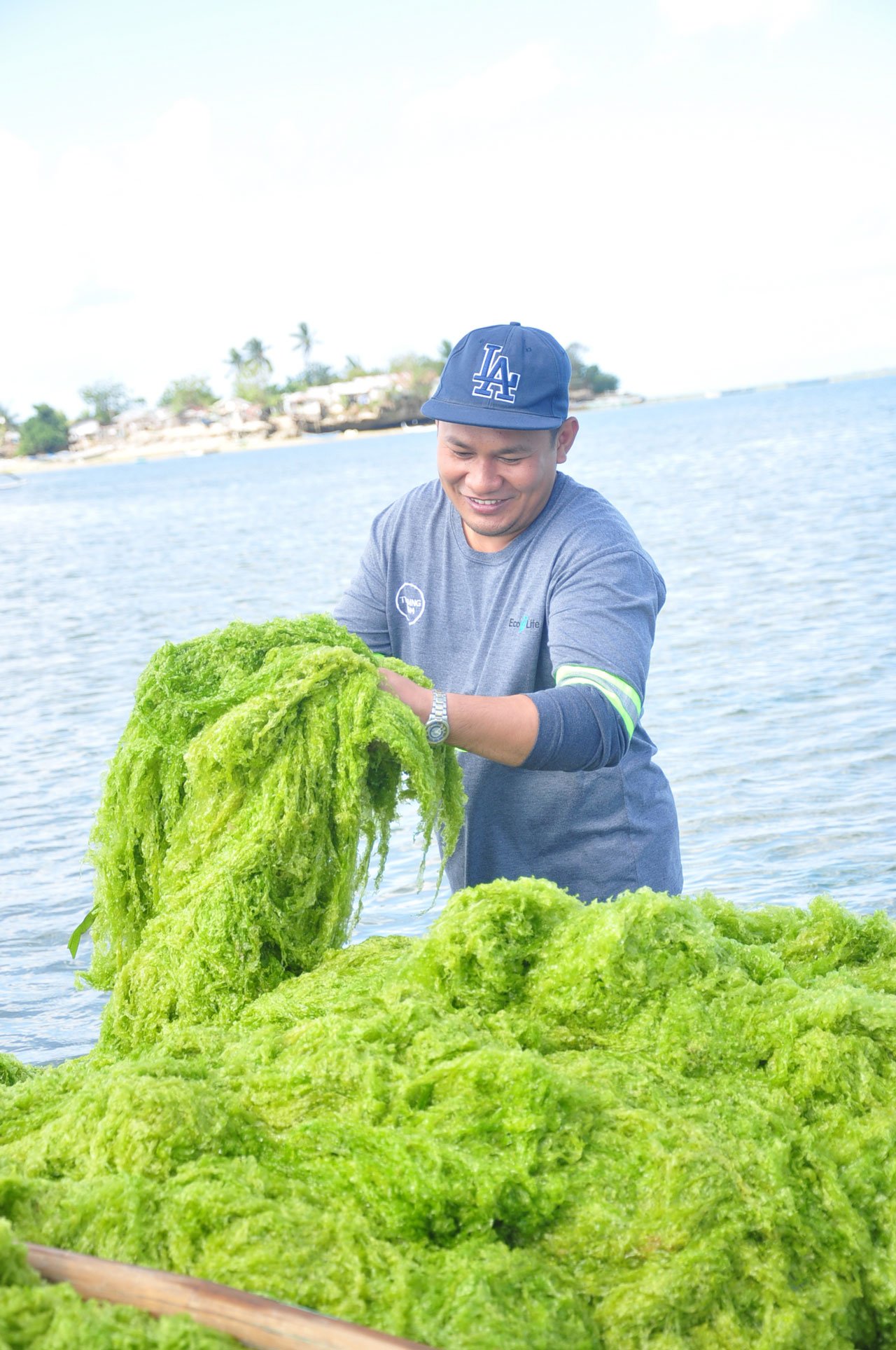 Raw Dried Seaweed Eco Life