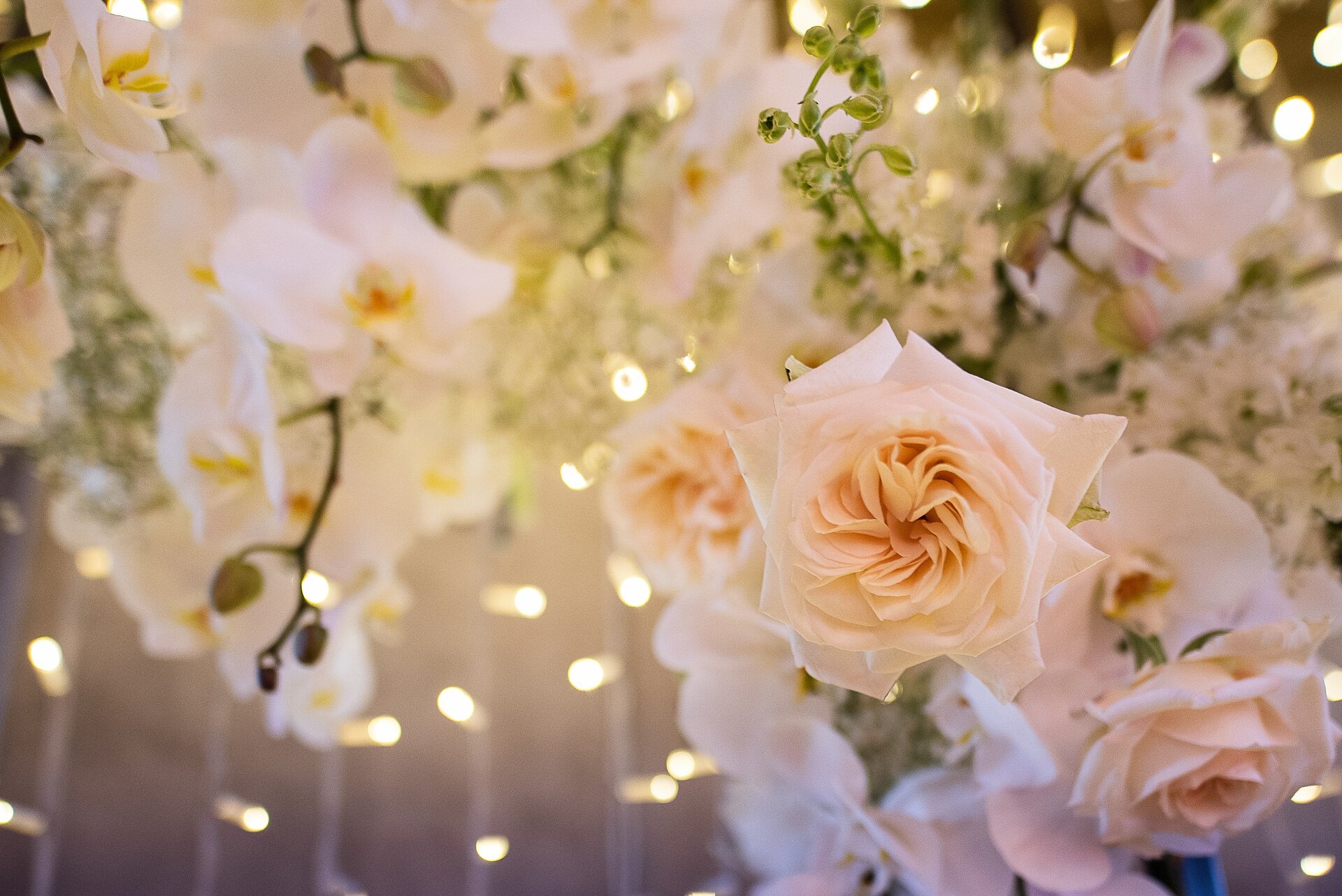 Bells & Whistles Cape Town Luxury Wedding Planner & Coordinator