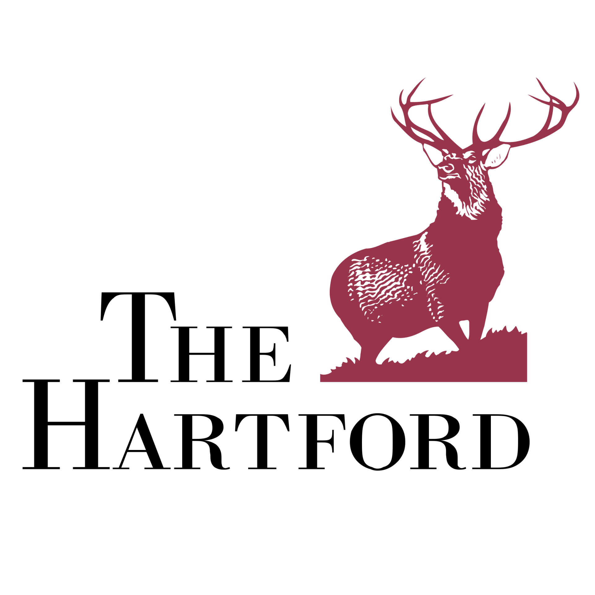 Solomon Agency Corp Insurance Agency in NY