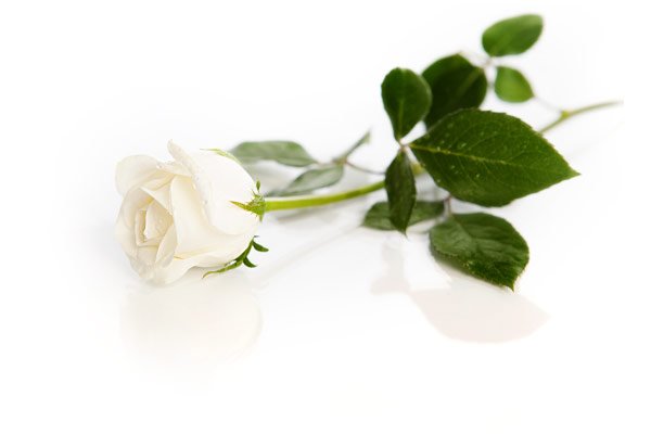 Funeral Homes in Durham, NC | Ellis D. Jones Funeral