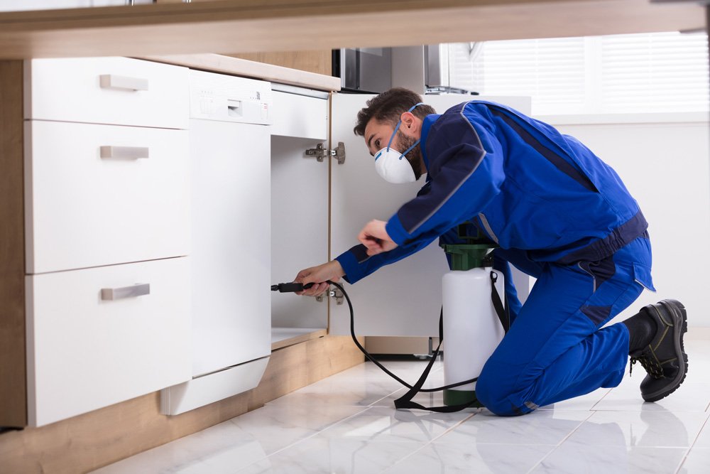 Pest Control Bloomington, IN Kelley’s Termite & Pest Control