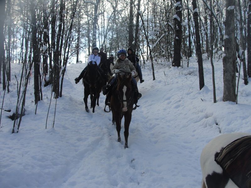Horseback Riding Blue Ridge Mountains and Cabin Rental