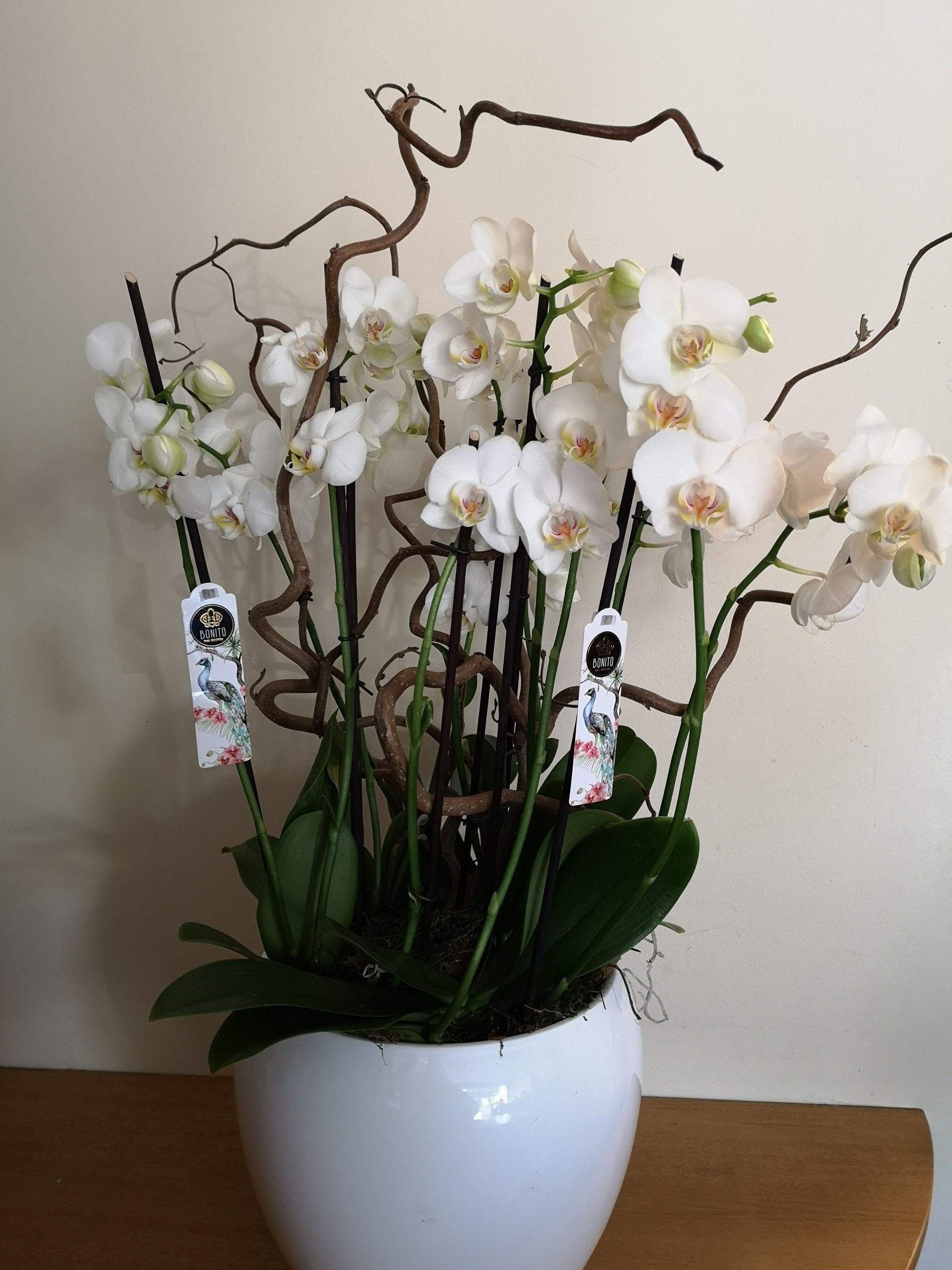 Flower Delivery | from Croydon to the rest of the UK | Kane's Florist