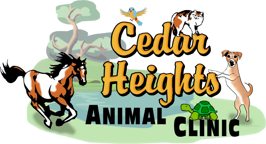 Cedar Heights Animal Clinic Veterinary Services