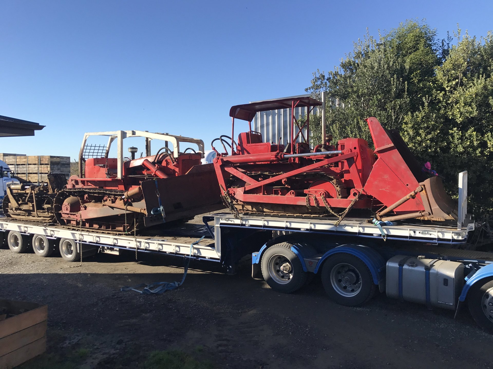 Dedicated container transport trucks you can rely on in Napier, Taradale
