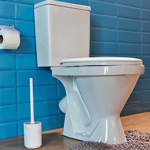toto cst744e 01 elongated flushing toilet